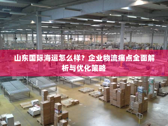 山东国际海运怎么样？企业物流痛点全面解析与优化策略