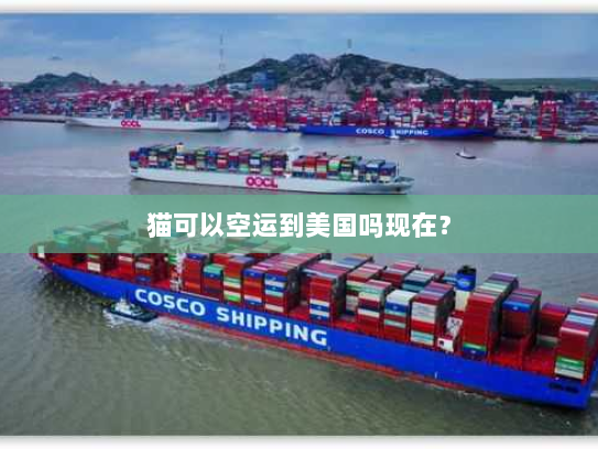 猫可以空运到美国吗现在？