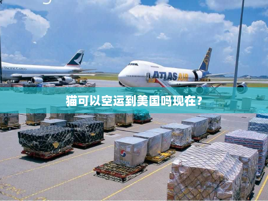 猫可以空运到美国吗现在？