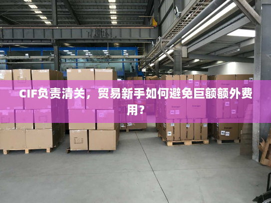 CIF负责清关,贸易新手如何避免巨额额外费用? CIF负责清关,贸易新手如何避免巨额额外费用?