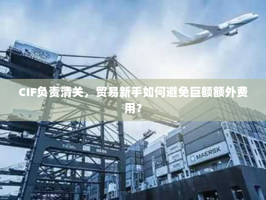 CIF负责清关,贸易新手如何避免巨额额外费用? CIF负责清关,贸易新手如何避免巨额额外费用?