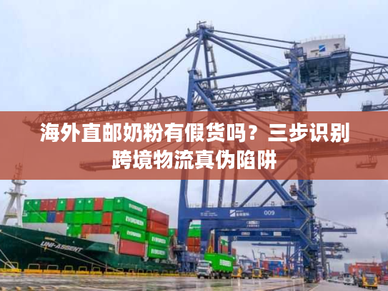 海外直邮奶粉有假货吗？三步识别跨境物流真伪陷阱