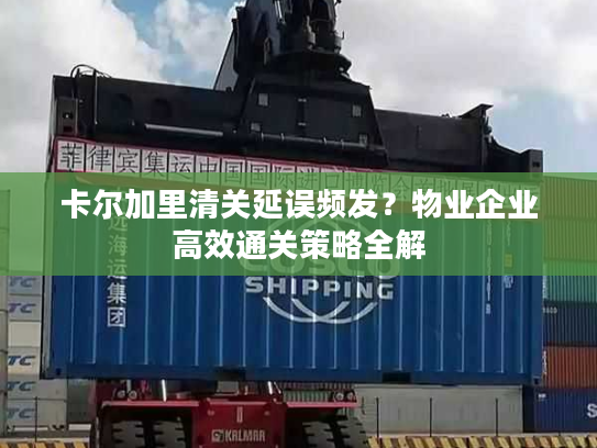 卡尔加里清关延误频发？物业企业高效通关策略全解