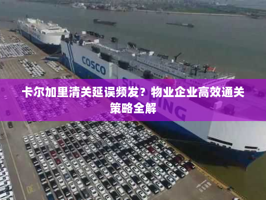 卡尔加里清关延误频发?物业企业高效通关策略全解 卡尔加里清关延误频发?物业企业高效通关策略全解