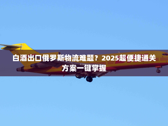 白酒出口俄罗斯物流难题？2025超便捷通关方案一键掌握