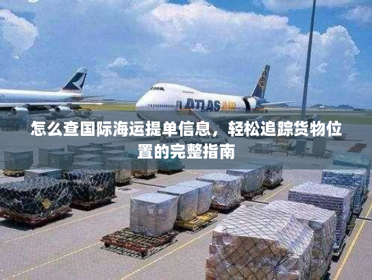 怎么查国际海运提单信息，轻松追踪货物位置的完整指南