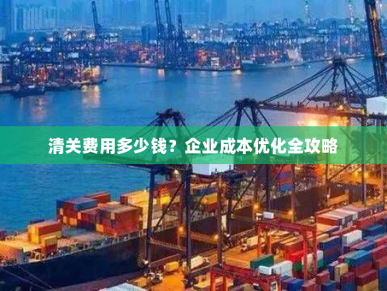 清关费用多少钱?企业成本优化全攻略 清关费用多少钱?企业成本优化全攻略