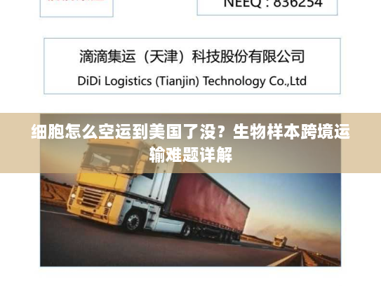 细胞怎么空运到美国了没?生物样本跨境运输难题详解 细胞怎么空运到美国了没?生物样本跨境运输难题详解