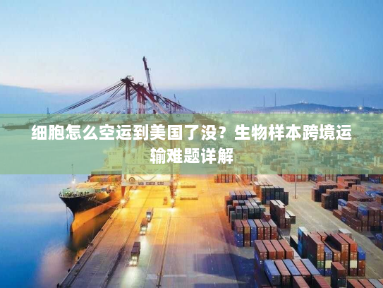 细胞怎么空运到美国了没?生物样本跨境运输难题详解 细胞怎么空运到美国了没?生物样本跨境运输难题详解