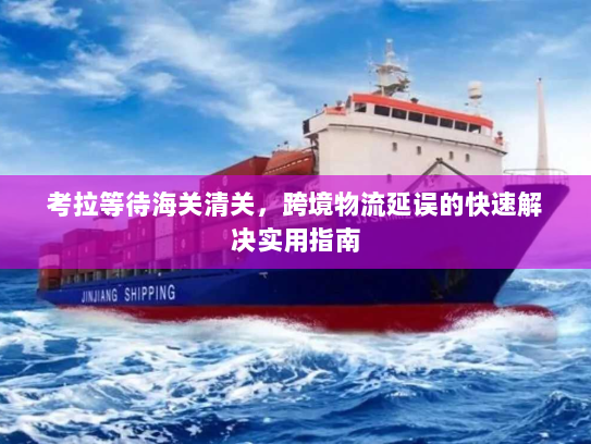 考拉等待海关清关,跨境物流延误的快速解决实用指南 考拉等待海关清关,跨境物流延误的快速解决实用指南