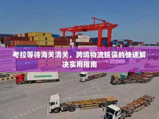 考拉等待海关清关,跨境物流延误的快速解决实用指南 考拉等待海关清关,跨境物流延误的快速解决实用指南