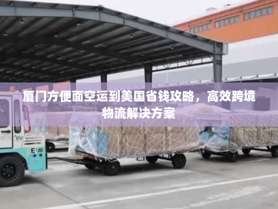 厦门方便面空运到美国省钱攻略，高效跨境物流解决方案