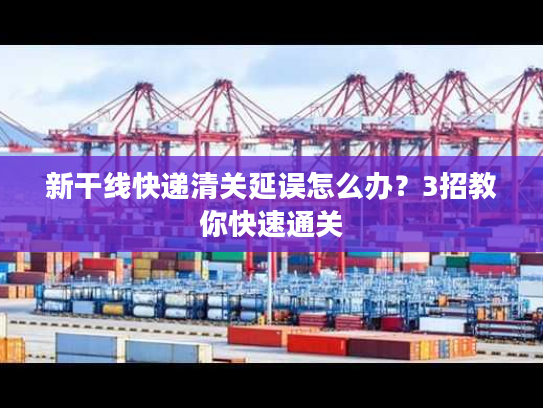 新干线快递清关延误怎么办？3招教你快速通关