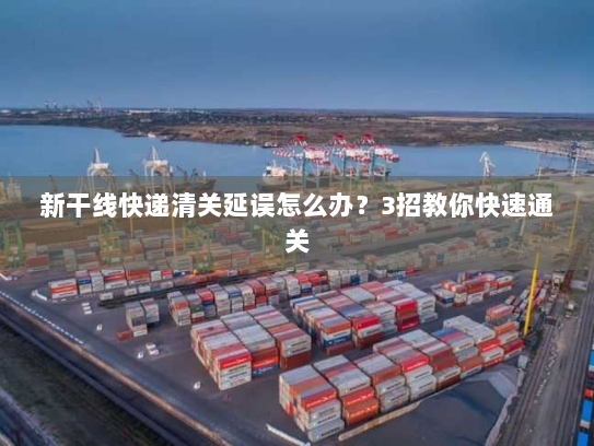 新干线快递清关延误怎么办？3招教你快速通关
