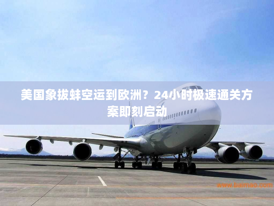 美国象拔蚌空运到欧洲？24小时极速通关方案即刻启动