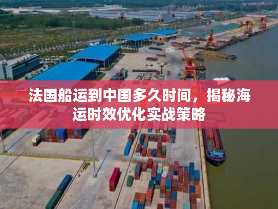 法国船运到中国多久时间，揭秘海运时效优化实战策略
