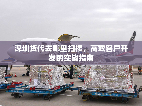 深圳货代去哪里扫楼，高效客户开发的实战指南