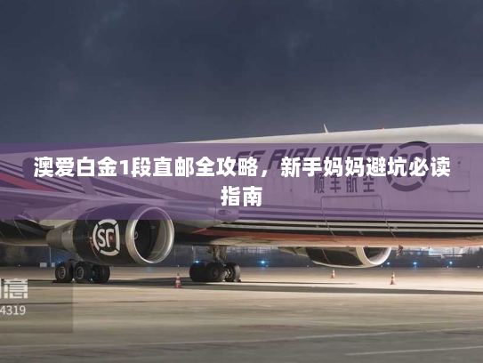 澳爱白金1段直邮全攻略，新手妈妈避坑必读指南