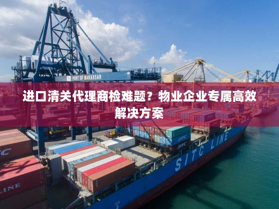 进口清关代理商检难题？物业企业专属高效解决方案