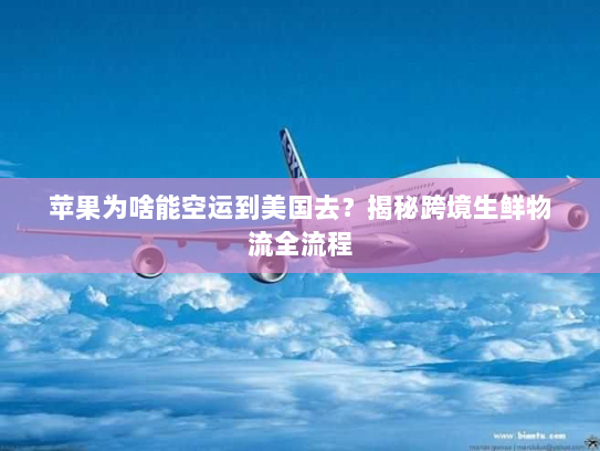 苹果为啥能空运到美国去?揭秘跨境生鲜物流全流程 苹果为啥能空运到美国去?揭秘跨境生鲜物流全流程