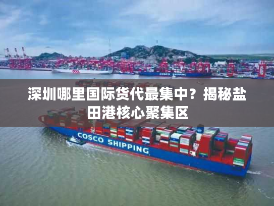 深圳哪里国际货代最集中？揭秘盐田港核心聚集区