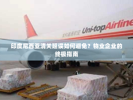 印度尼西亚清关延误如何避免?物业企业的终极指南 印度尼西亚清关延误如何避免?物业企业的终极指南