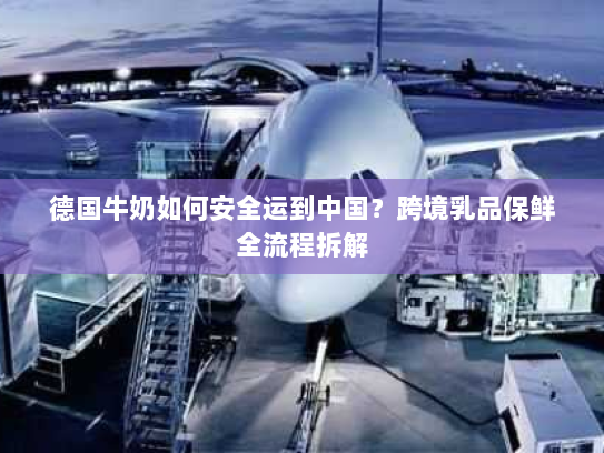 德国牛奶如何安全运到中国？跨境乳品保鲜全流程拆解