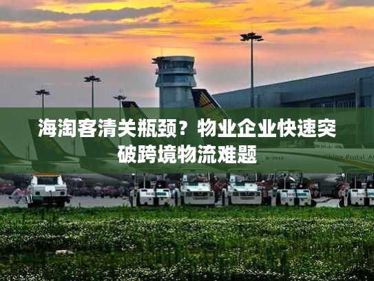 海淘客清关瓶颈?物业企业快速突破跨境物流难题 海淘客清关瓶颈?物业企业快速突破跨境物流难题
