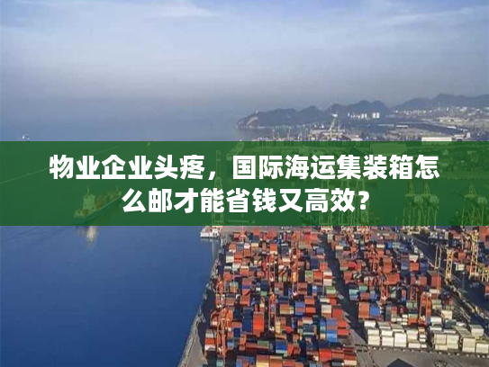 物业企业头疼，国际海运集装箱怎么邮才能省钱又高效？