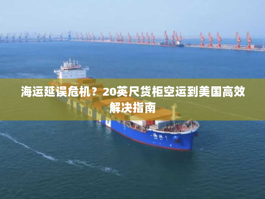 海运延误危机?20英尺货柜空运到美国高效解决指南 海运延误危机?20英尺货柜空运到美国高效解决指南