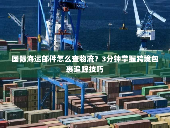 国际海运邮件怎么查物流？3分钟掌握跨境包裹追踪技巧