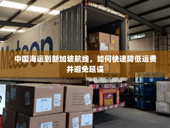 中国海运到新加坡航线,如何快速降低运费并避免延误 中国海运到新加坡航线,如何快速降低运费并避免延误