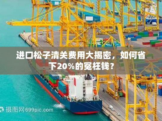 进口松子清关费用大揭密,如何省下20%的冤枉钱? 进口松子清关费用大揭密,如何省下20%的冤枉钱?