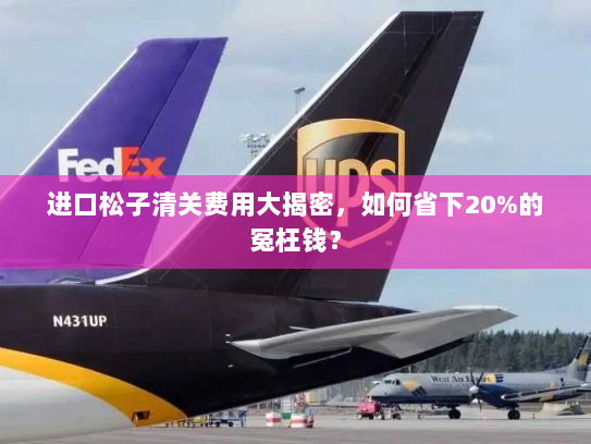 进口松子清关费用大揭密,如何省下20%的冤枉钱? 进口松子清关费用大揭密,如何省下20%的冤枉钱?