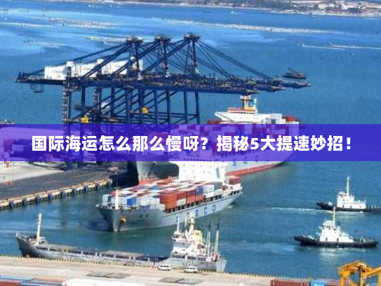 国际海运怎么那么慢呀？揭秘5大提速妙招！