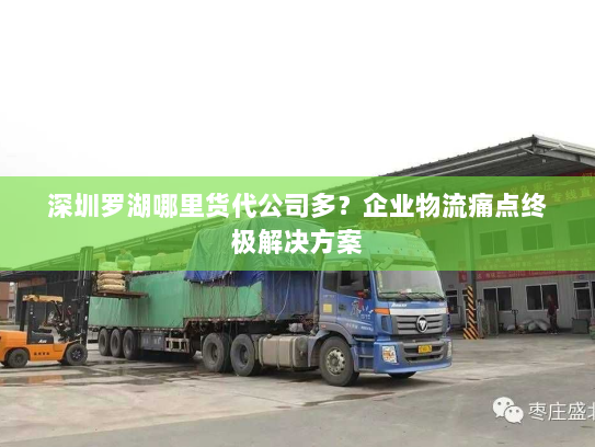 深圳罗湖哪里货代公司多?企业物流痛点终极解决方案 深圳罗湖哪里货代公司多?企业物流痛点终极解决方案