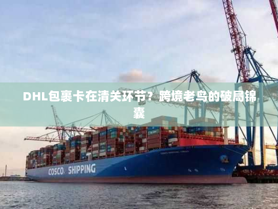 DHL包裹卡在清关环节？跨境老鸟的破局锦囊