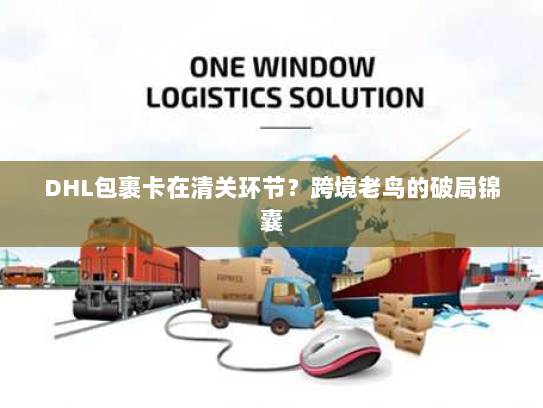 DHL包裹卡在清关环节？跨境老鸟的破局锦囊