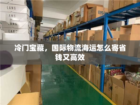 冷门宝藏，国际物流海运怎么寄省钱又高效
