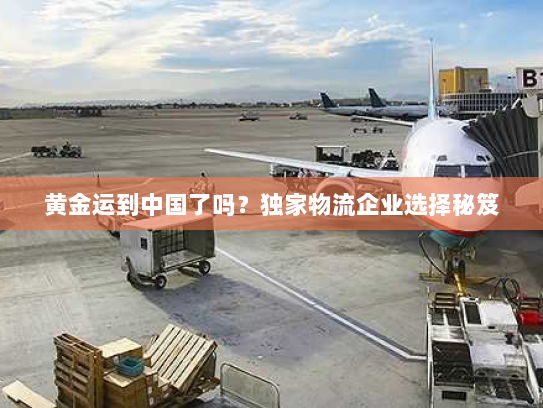黄金运到中国了吗？独家物流企业选择秘笈