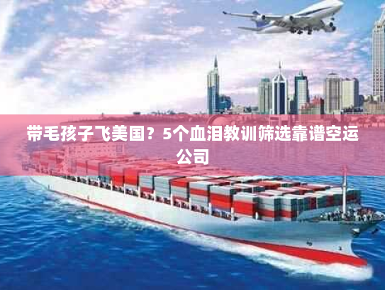 带毛孩子飞美国?5个血泪教训筛选靠谱空运公司 带毛孩子飞美国?5个血泪教训筛选靠谱空运公司