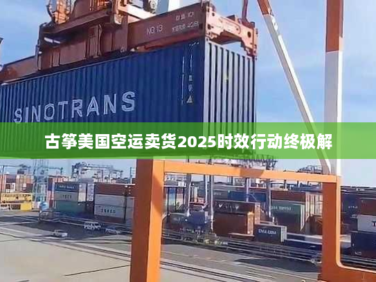 古筝美国空运卖货2025时效行动终极解 古筝美国空运卖货2025时效行动终极解
