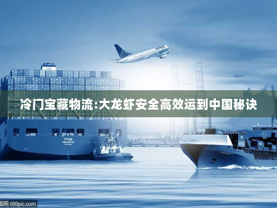 冷门宝藏物流:大龙虾安全高效运到中国秘诀