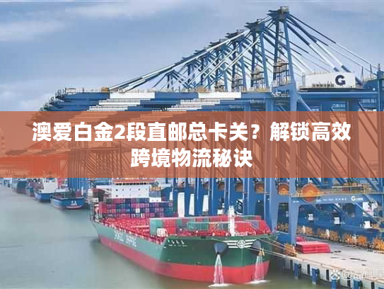 澳爱白金2段直邮总卡关？解锁高效跨境物流秘诀