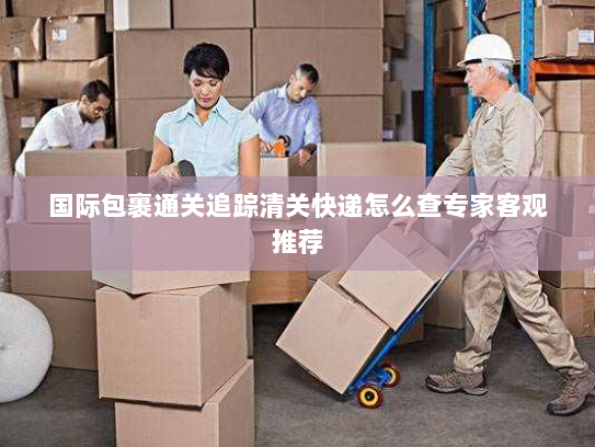 国际包裹通关追踪清关快递怎么查专家客观推荐 国际包裹通关追踪清关快递怎么查专家客观推荐