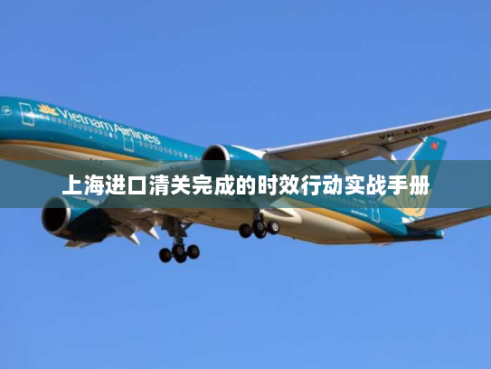 上海进口清关完成的时效行动实战手册 上海进口清关完成的时效行动实战手册
