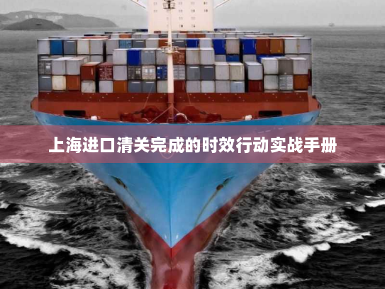 上海进口清关完成的时效行动实战手册 上海进口清关完成的时效行动实战手册