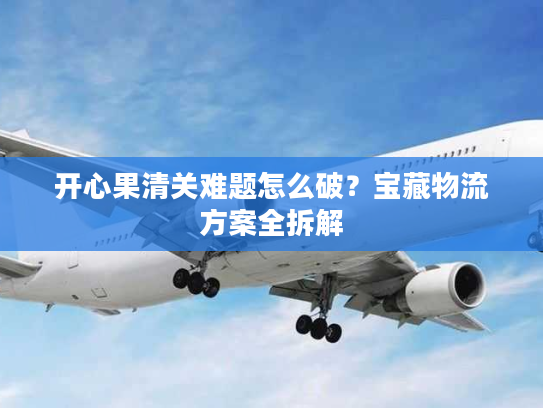 开心果清关难题怎么破？宝藏物流方案全拆解