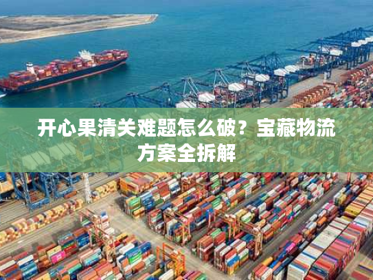 开心果清关难题怎么破？宝藏物流方案全拆解