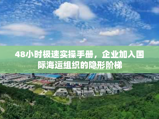 48小时极速实操手册，企业加入国际海运组织的隐形阶梯